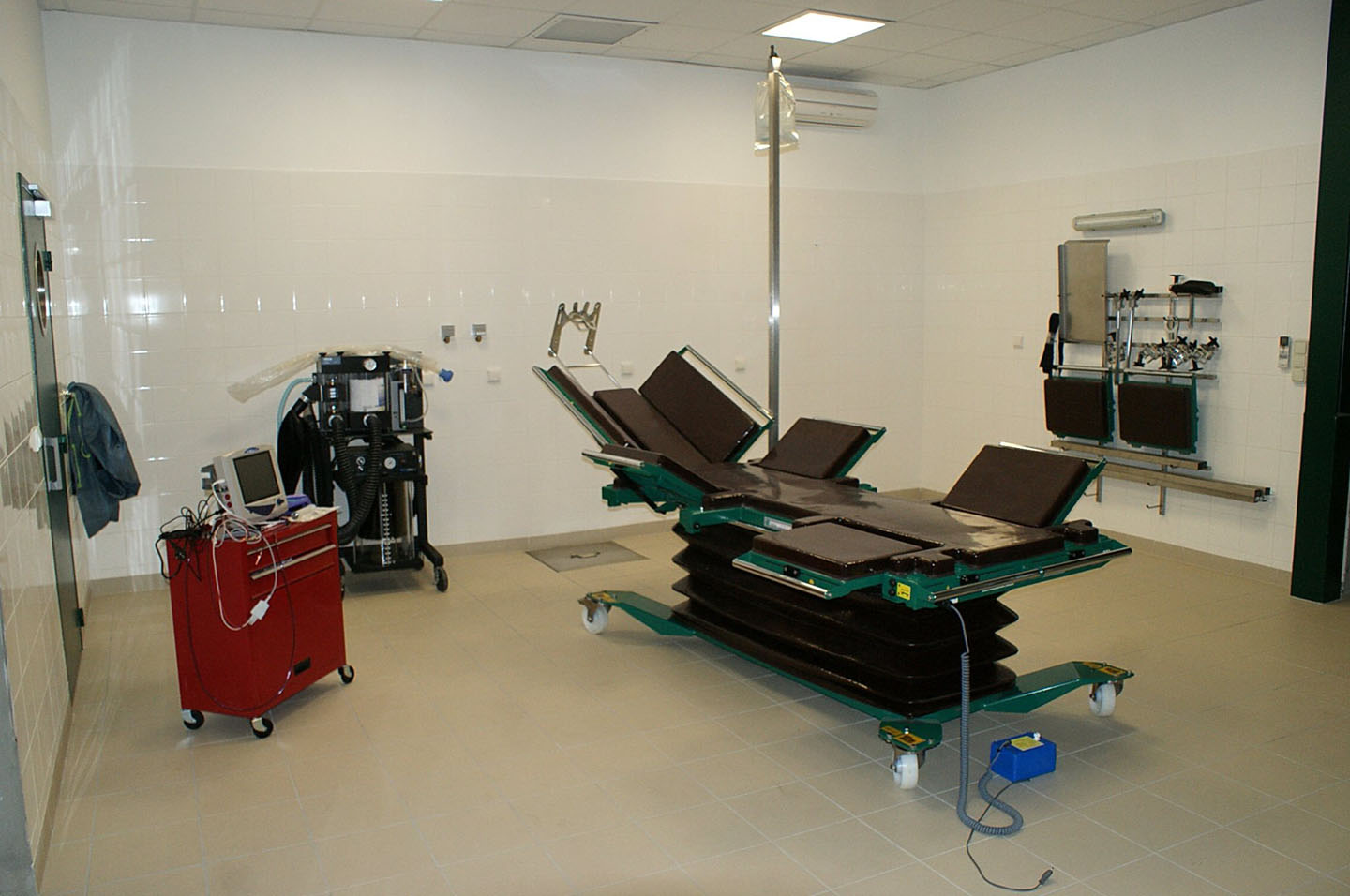 Clinique Equine de Sers - Echographie